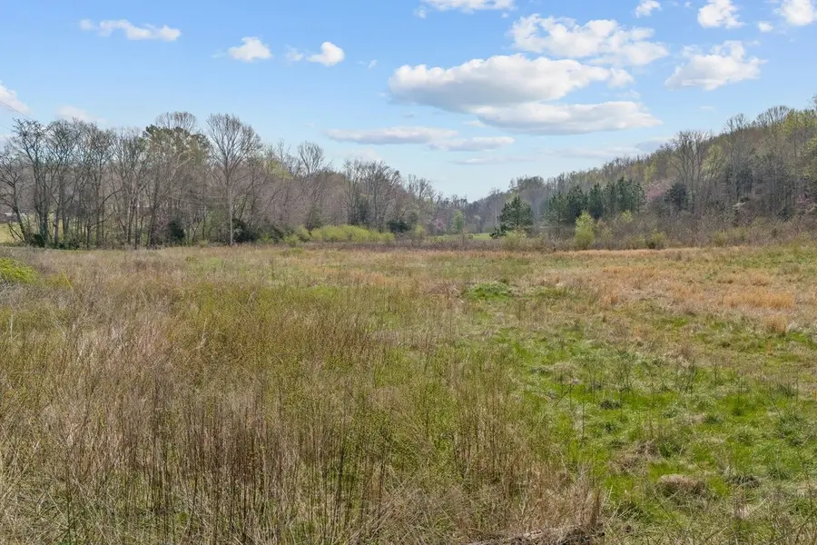 0 Hollis Crossing, Cumberland Furnace, TN 37051 - #3