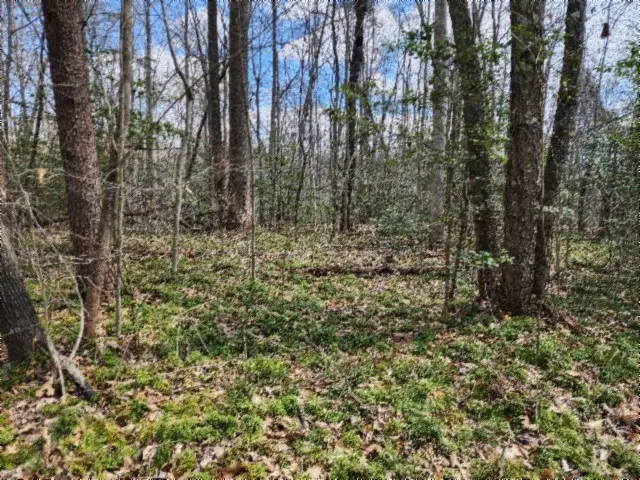 0 Buffalo Rd, Oneida, TN 37841 - #1