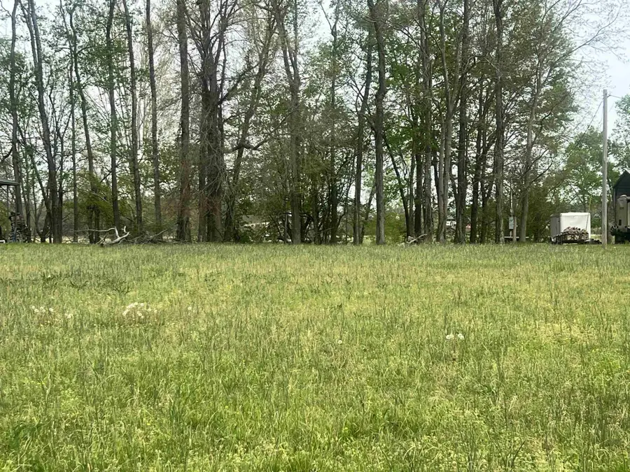 350 Elizabeth Ln, Savannah, TN 38372 - #3