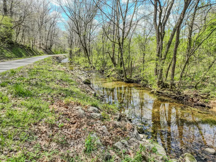 0 Pickard Hollow Rd, Mount Pleasant, TN 38474 - #3