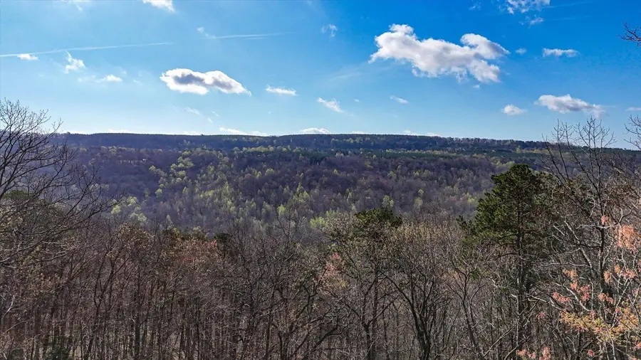 1350 Split Rail Way, Guild, TN 37340 - #2