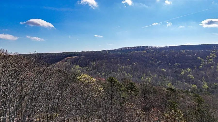 1350 Split Rail Way, Guild, TN 37340 - #3