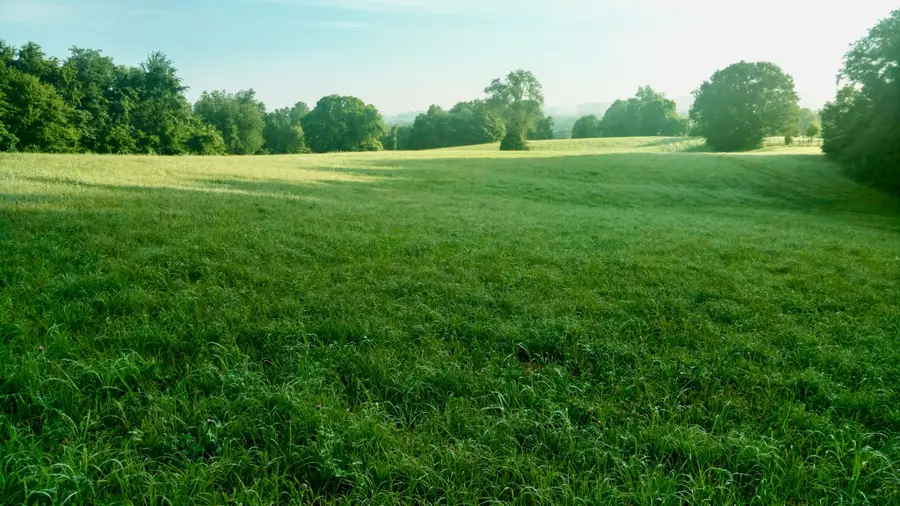 0 Clear Creek Road, Pulaski, TN 38478 - #2