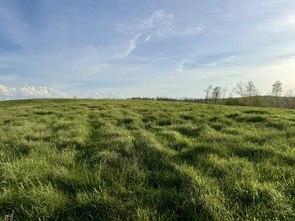 0 Brigham Branch Road, Erin, TN 37061