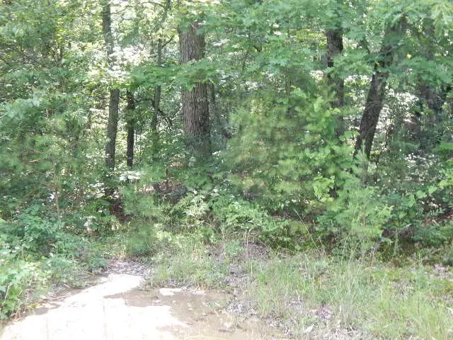 0 4th Dr, Altamont, TN 37301 - #3