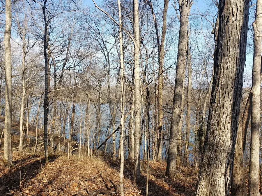 0 Refuge South Rd, Dover, TN 37058 - #2