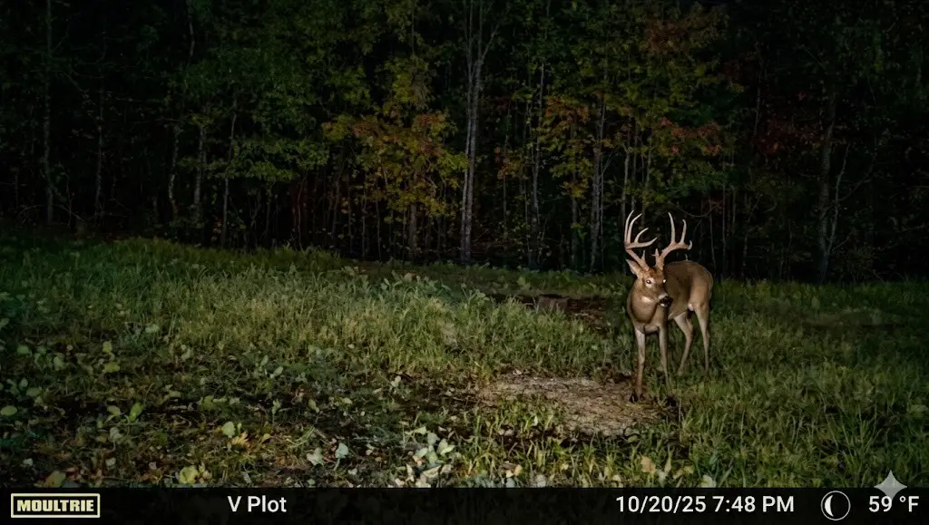 0 Elk Drive, Hurricane Mills, TN 37078 - #1