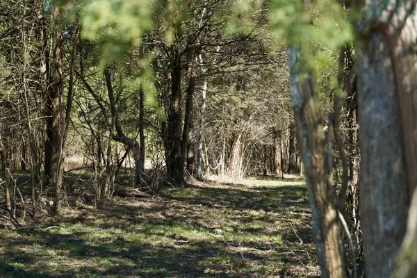 999 Old Lewisburg Hwy Tract 1, Columbia, TN 38401