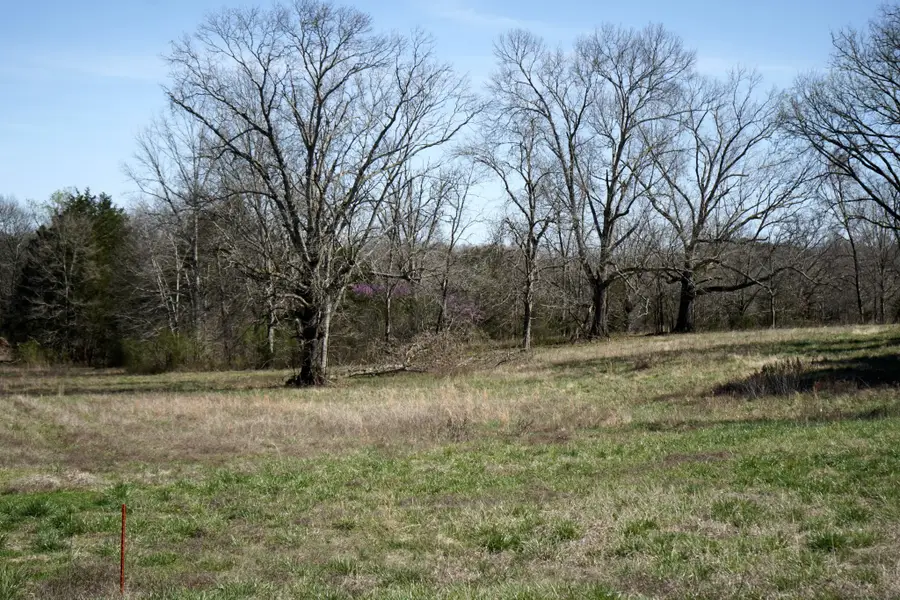 999 Old Lewisburg Hwy Tract 2, Columbia, TN 38401 - #2