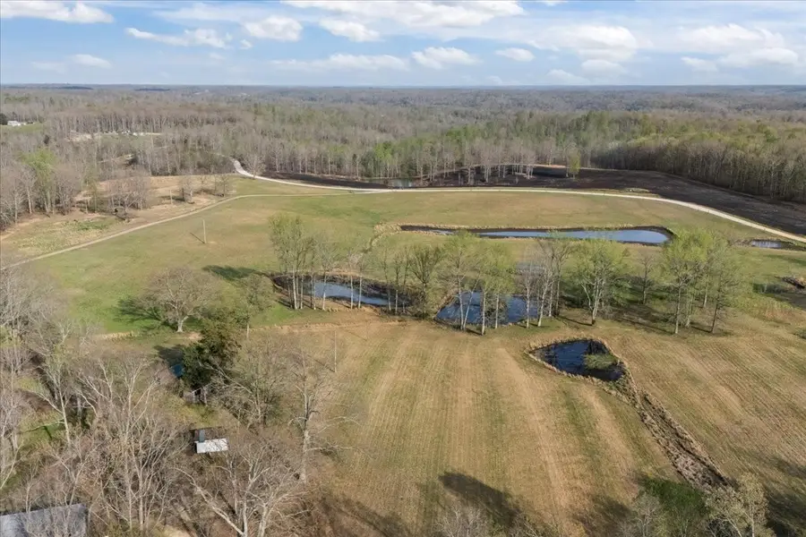 2038 Jack Saunders Rd, Waverly, TN 37185 - #3