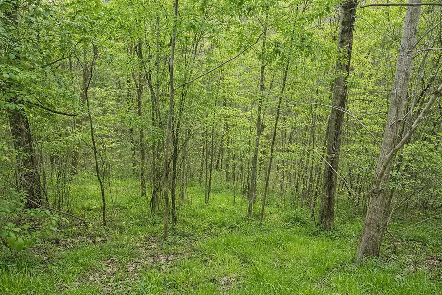 114 Shoreside Dr, Smithville, TN 37166 - #2