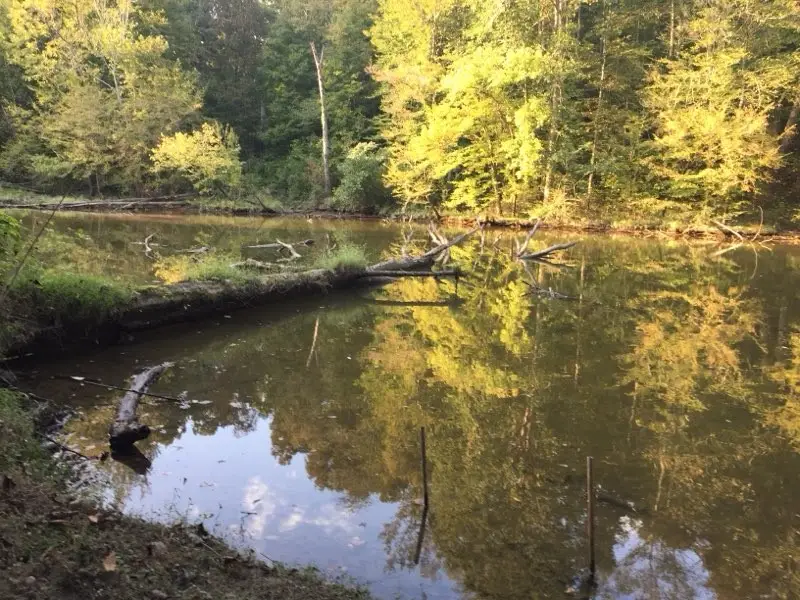 1321 Chapmansboro Rd, Chapmansboro, TN 37035 - #2