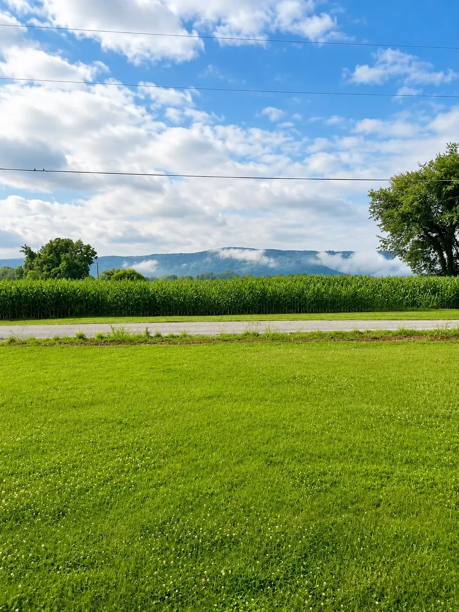 23 Skidmore Ln, Winchester, TN 37398 - #3
