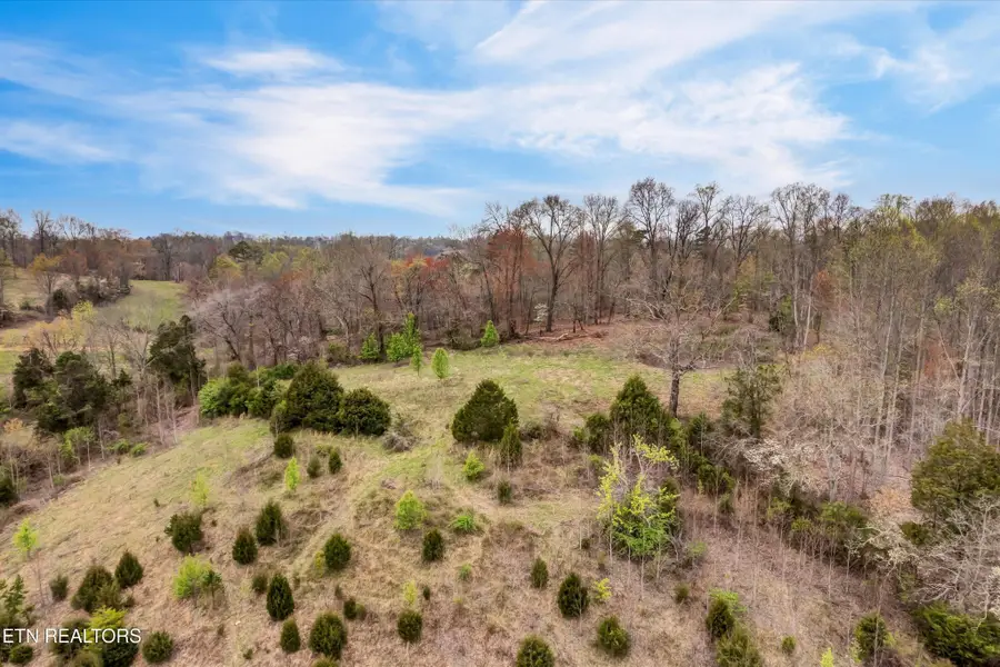 290 Maddox Lane, New Tazewell, TN 37825 - #3
