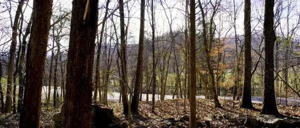 0 Whites Creek Pike, Whites Creek, TN 37189 - #3