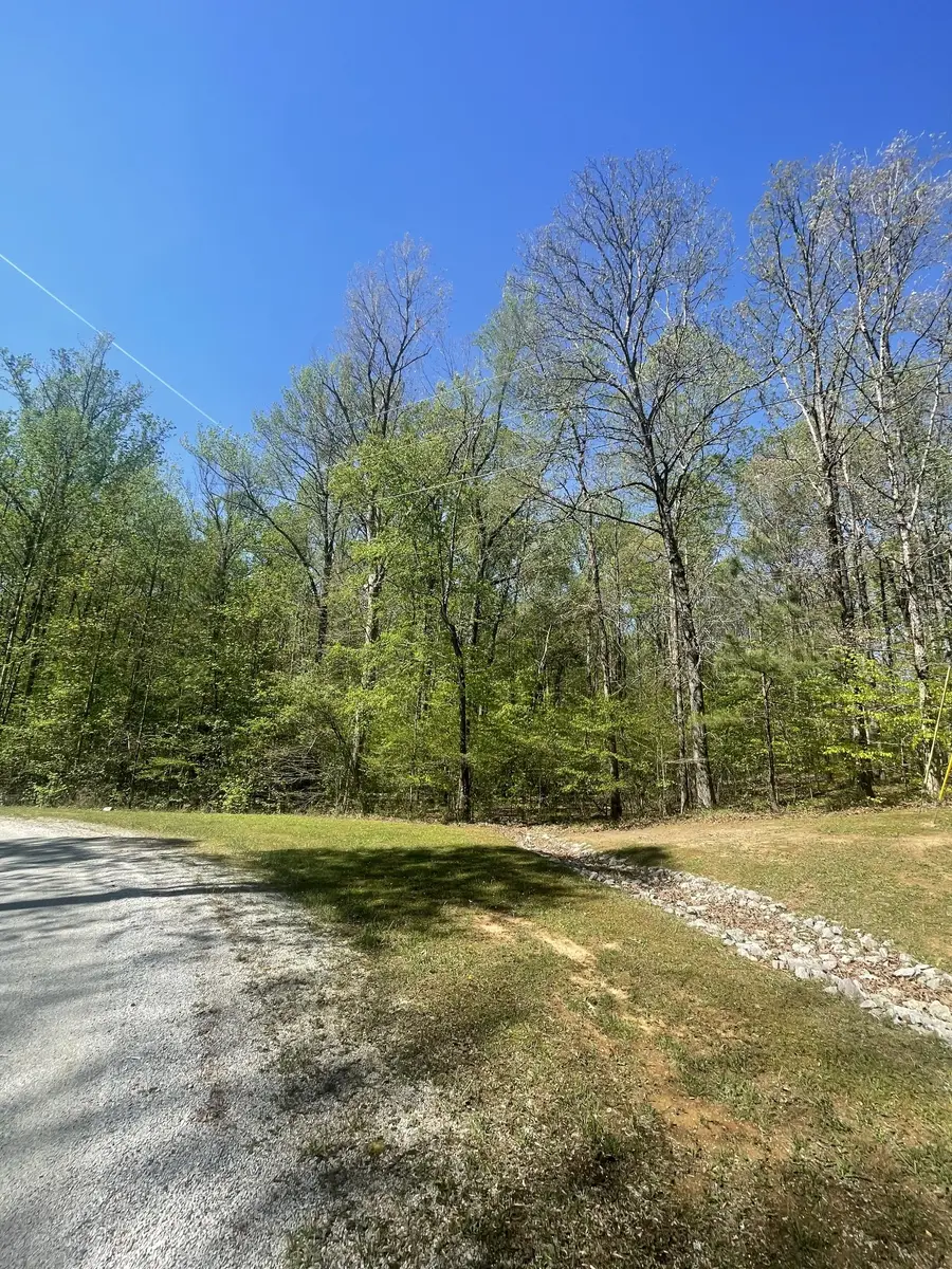 389 Excalibur Trl, Cedar Grove, TN 38321 - #3