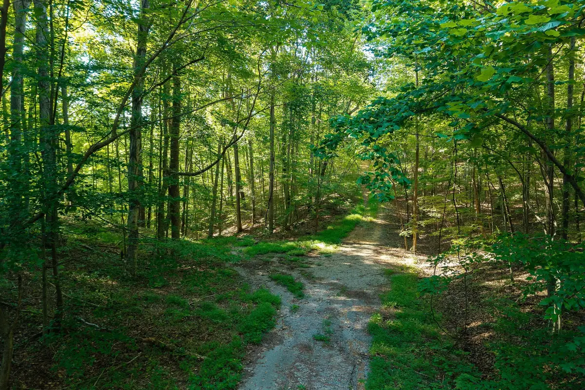 140 Floyd Drive, Smithville, TN 37166 - #1