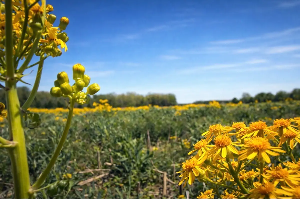 0 Valley Rd, Lawrenceburg, TN 38464 - #1