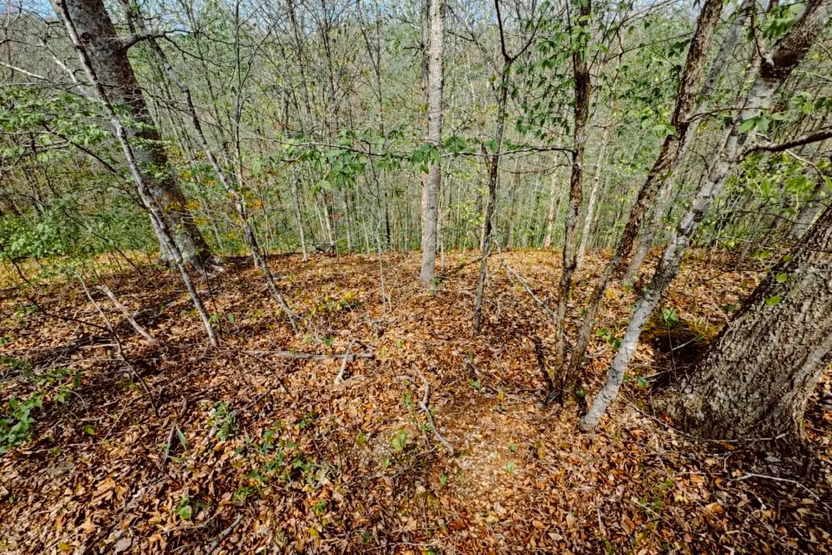 0 Holiday Haven Dr, Smithville, TN 37166 - #1