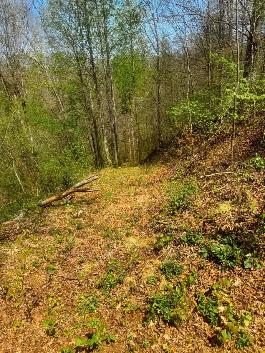 0 Holiday Haven Dr, Smithville, TN 37166 - #3