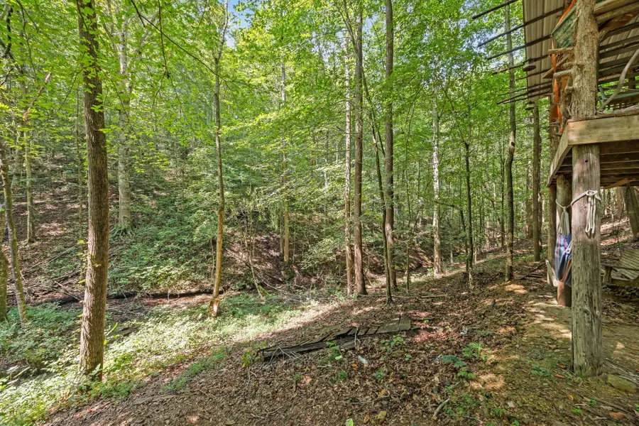 225 Richardson Ln, Gainesboro, TN 38562 - #2
