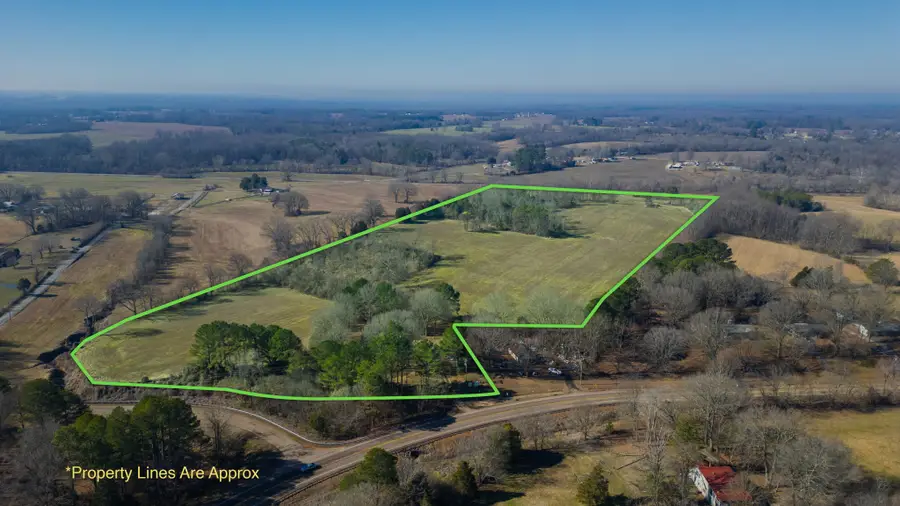 95 Old Mckenzie Rd, Mc Kenzie, TN 38201 - #2