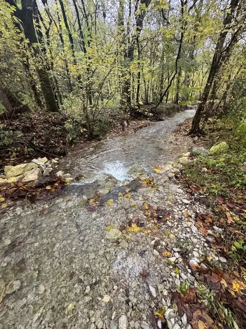 0 Mcbroom Branch Rd, Baxter, TN 38544 - #2