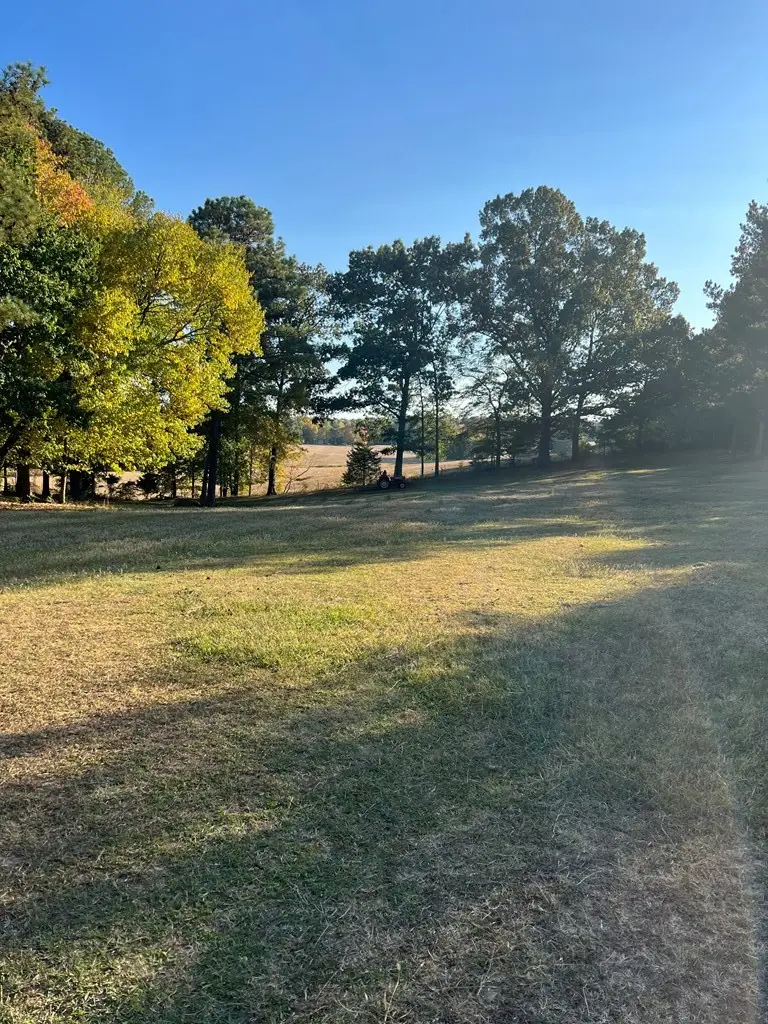 1486 Cedar Grove Rd, Big Sandy, TN 38221 - #3