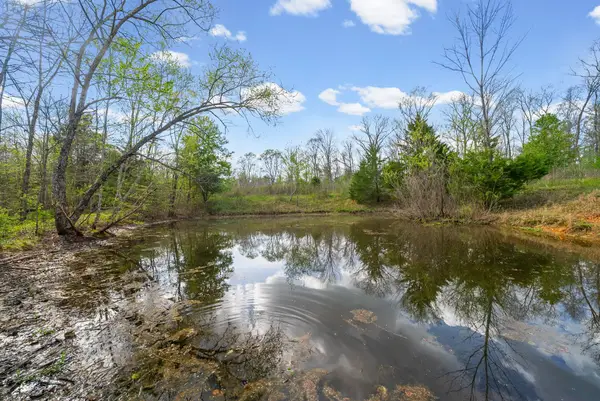 2 Bud Parker Lane, Erin, TN 37061