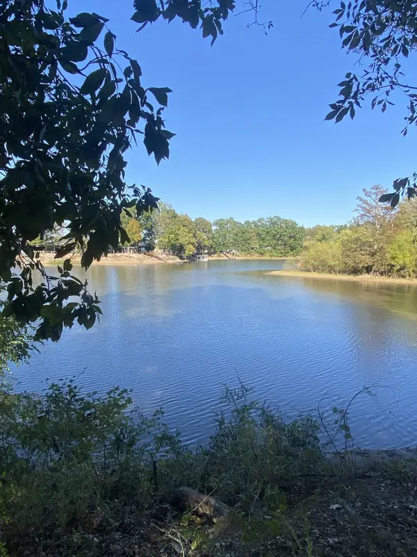 442 Duck Blind Rd, Clifton, TN 38425