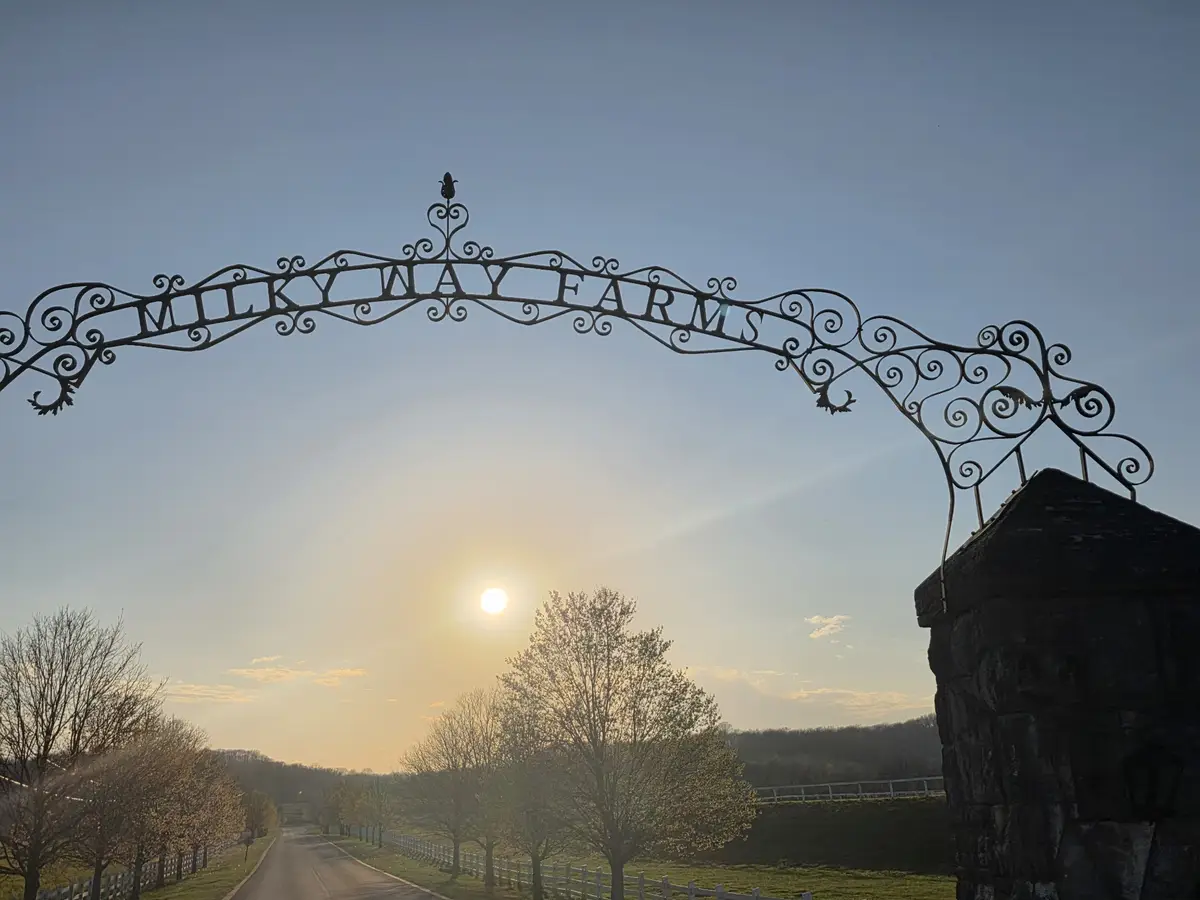 381 Milky Way Dr, Pulaski, TN 38478 - #1