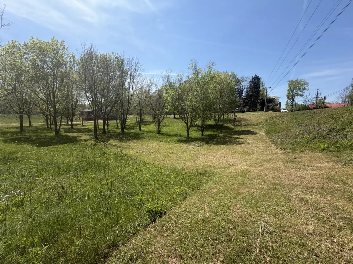 11505 Mcminnville Hwy, Walling, TN 38587 - #1