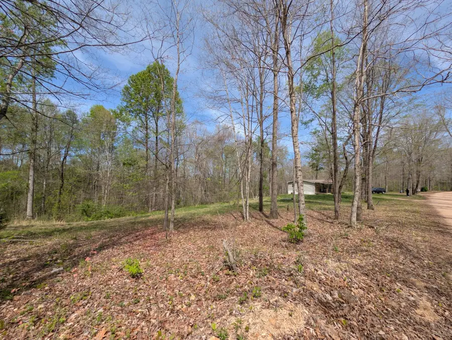 10740 Bear Creek Rd, Bon Aqua, TN 37025 - #2