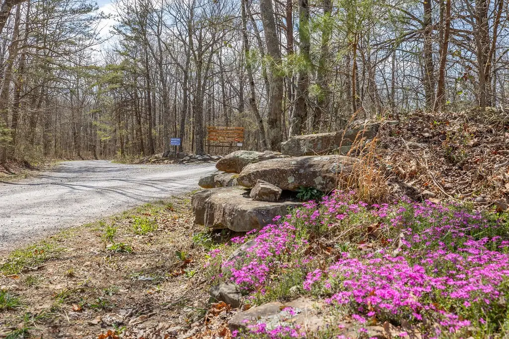 0 Valley View Dr, Altamont, TN 37301 - #1