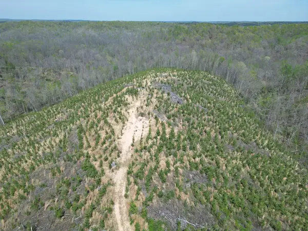 0D Waynesboro Hwy, Waynesboro, TN 38485