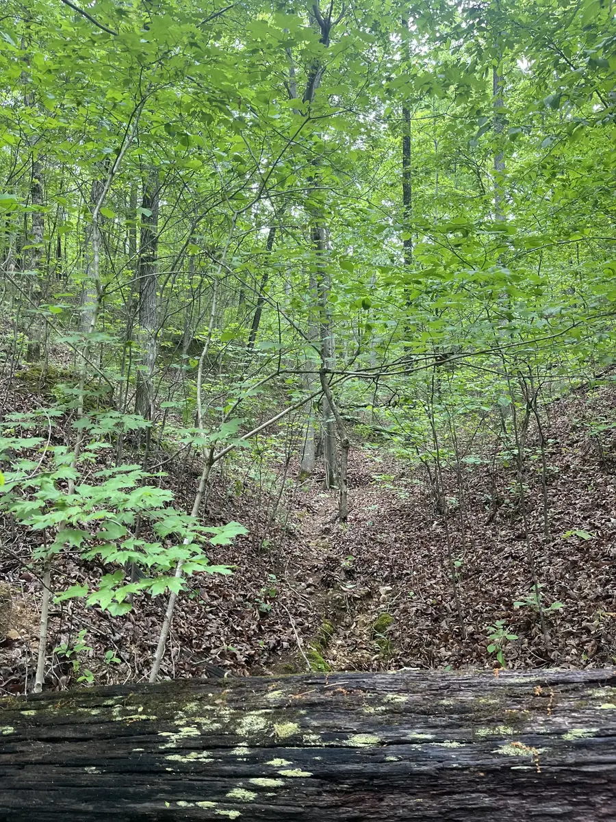 0 Old Mail Road, Duck River, TN 38454 - #2