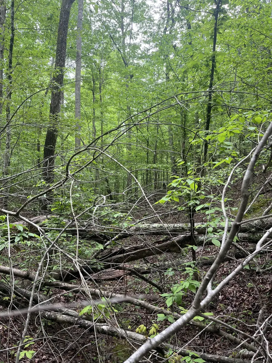 0 Old Mail Road, Duck River, TN 38454 - #3