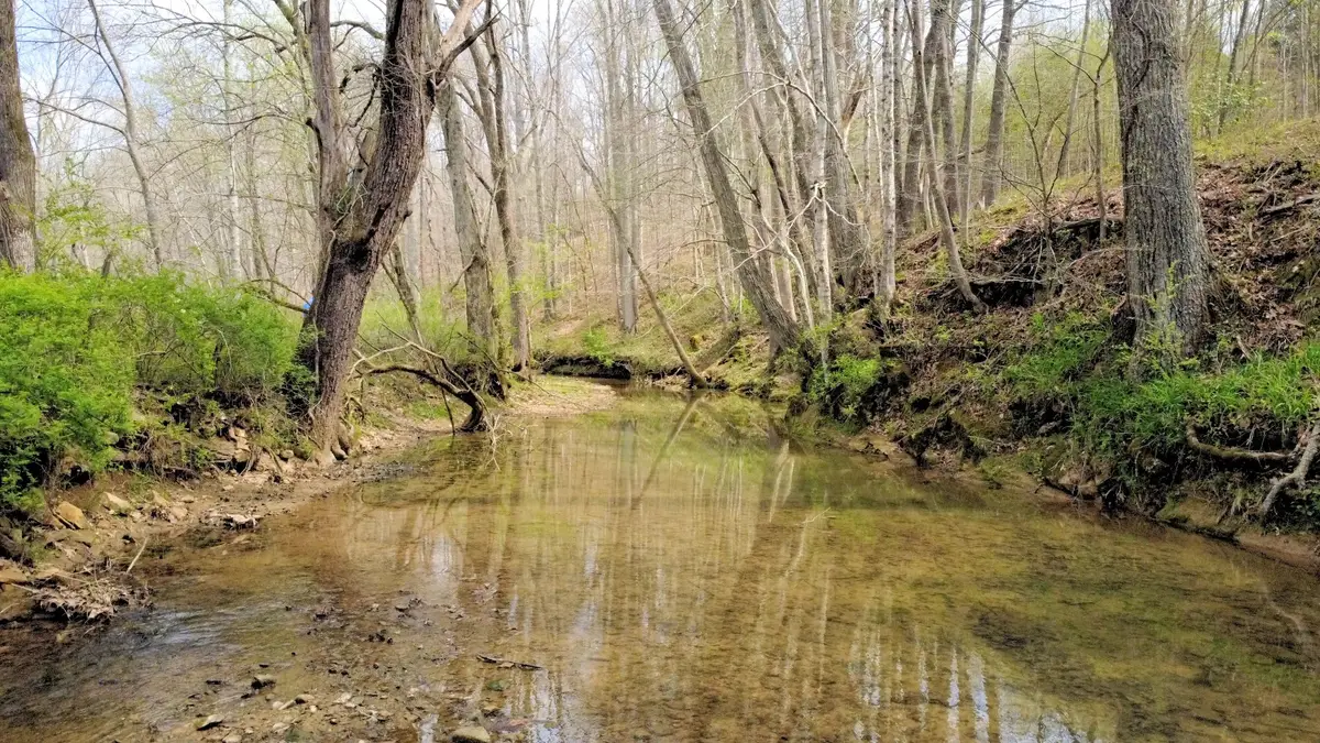 293 E Piney Rd, Dickson, TN 37055 - #1