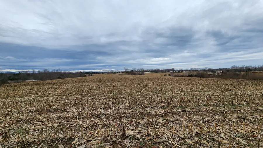 55 Indian Mound Rd, Sparta, TN 38583 - #2