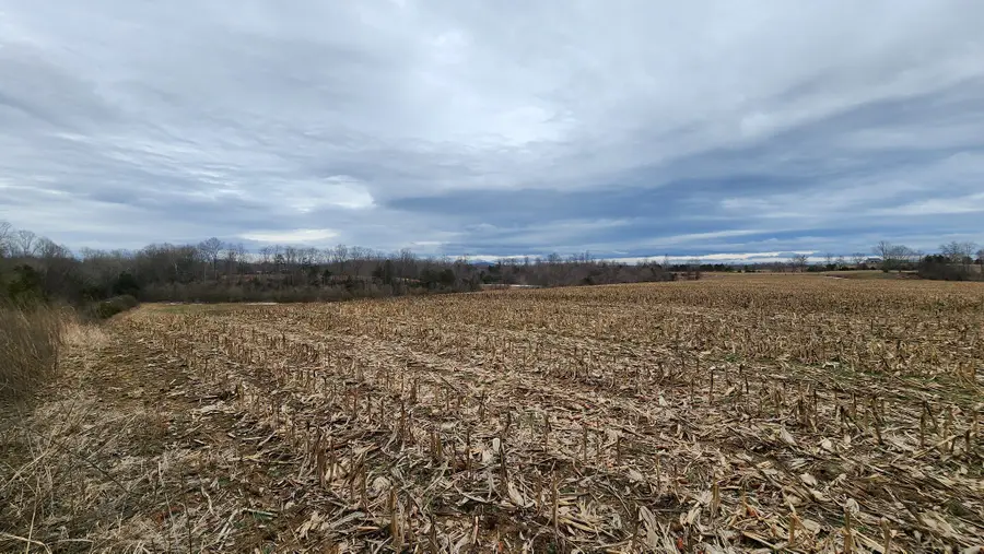 55 Indian Mound Rd, Sparta, TN 38583 - #3