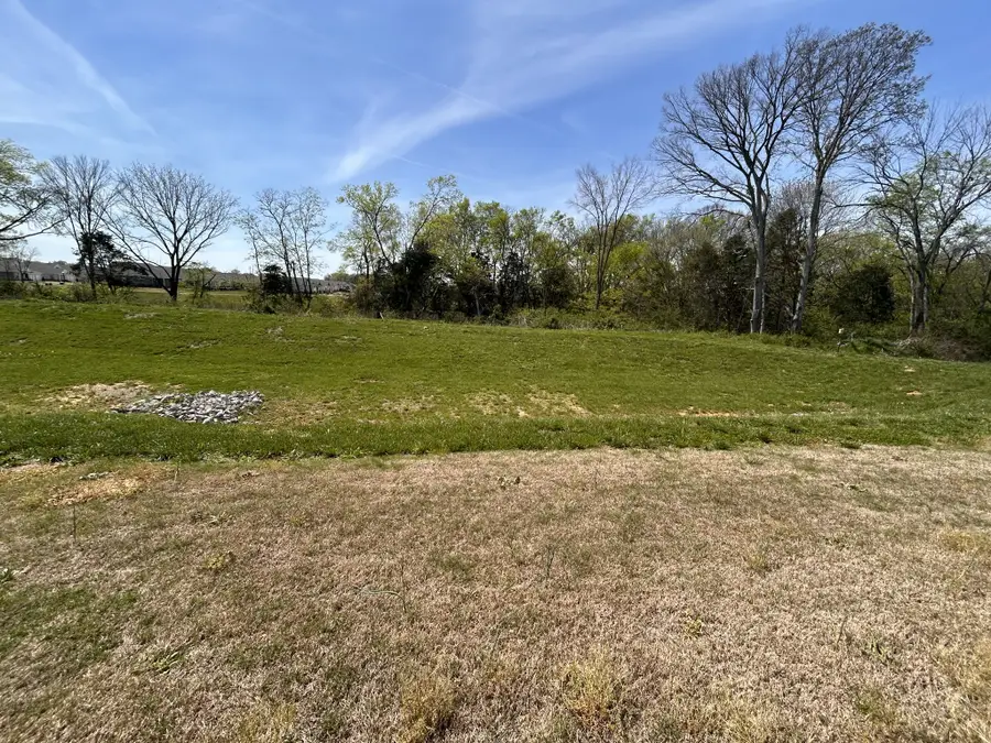 6340 Japonica Ln, White House, TN 37188 - #2