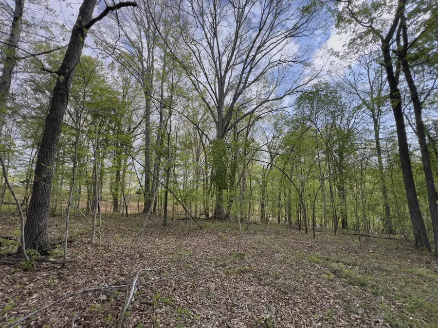 0 Valley Road, Fairview, TN 37062 - #3