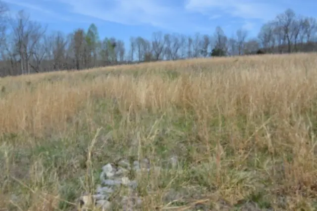 0 Hollow Creek Lane, Clarkrange, TN 38553 - #2