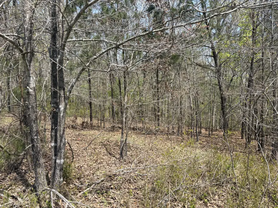 0 Mill Ave, Hohenwald, TN 38462 - #3