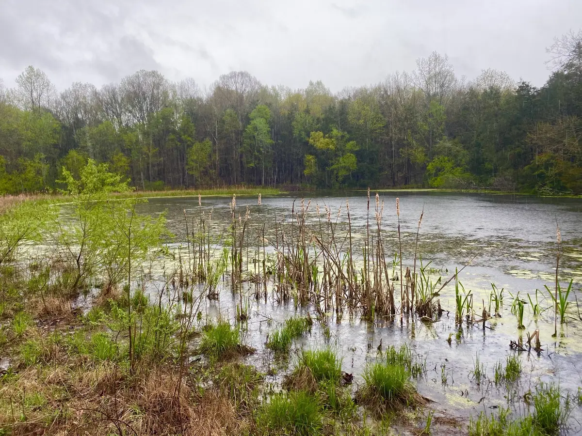 0 Hwy 64 Arnold Rd E, Wartrace, TN 37183 - #1