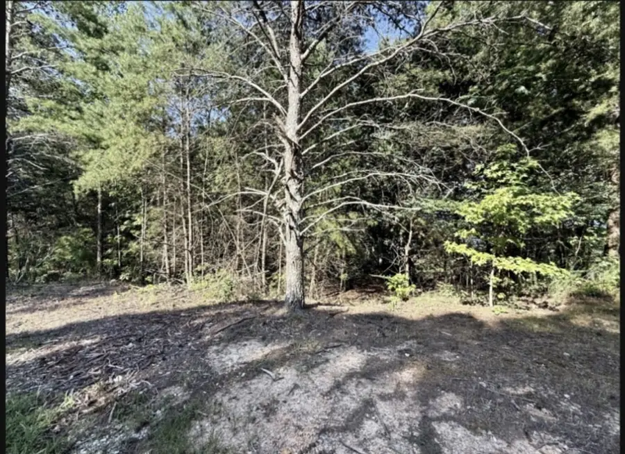 0 Arthur Ct, Waverly, TN 37185 - #2