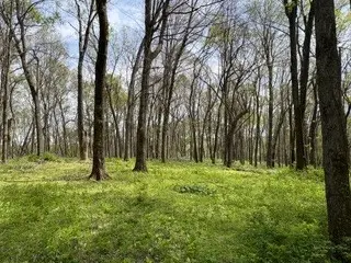 0 Center Star Road, Columbia, TN 38401