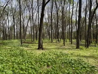 0 Center Star Road, Columbia, TN 38401 - #2