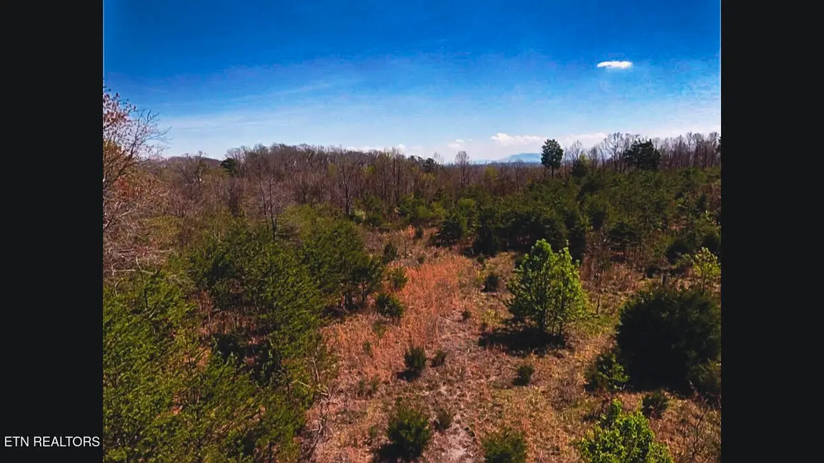 317 Mountain View Drive, Vonore, TN 37885 - #1