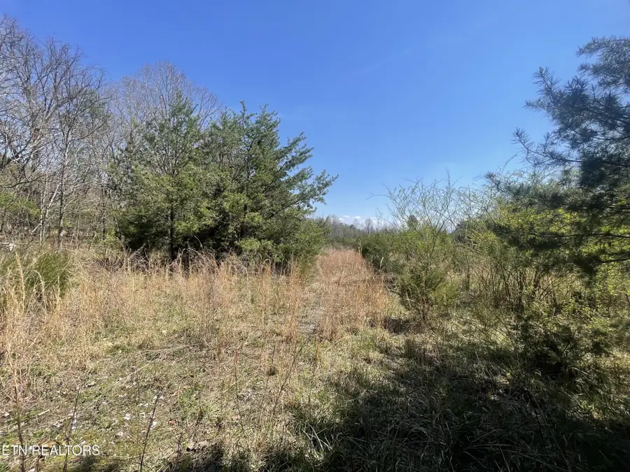 317 Mountain View Drive, Vonore, TN 37885 - #2